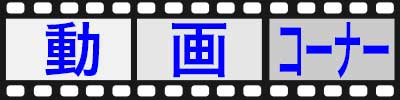 動画コーナー